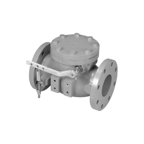 public://uploads/product/a-2600_swing_type_lever_spring_check_valve_fl_fl_bw_img_780x780.png