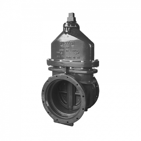 public://uploads/product/t-2361_gate_valve_mj_fl_bw_img.png